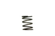 Turbosmart WG40 5PSI Inner Spring Brown/Grey Turbosmart Blow Off Valve Accessories  AXOPROS
