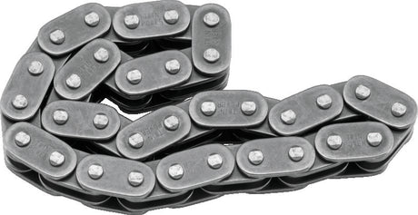 Twin Power 06-17 Dyna 07-17 FLT and Softail Late TC Secondary Cam Chain Replaces H-D 25683-06 TwinPower Timing Chains  AXOPROS