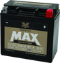 Twin Power GYZ-16HL Premium MAX Battery Replaces H-D 65958-04 Made in USA 240 CCA TwinPower Batteries  AXOPROS