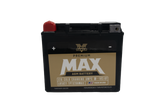 Twin Power GYZ-20H Premium MAX Battery Replaces H-D 65991-82B Made in USA 320 CCA TwinPower Batteries  AXOPROS