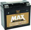 Twin Power GYZ-20H Premium MAX Battery Replaces H-D 65991-82B Made in USA 320 CCA TwinPower Batteries  AXOPROS