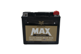 Twin Power GYZ-20HL Premium MAX Battery Replaces H-D 65989-97A Made in USA 320 CCA TwinPower Batteries  AXOPROS