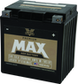 Twin Power GYZ-32HL Premium MAX Battery Replaces H-D 66010-97A Made in USA 500 CCA TwinPower Batteries  AXOPROS