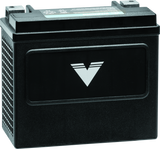Twin Power YTX-14 Shocker Battery Replaces H-D 65948-00 220 CCA TwinPower Batteries  AXOPROS