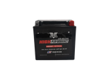 Twin Power YTX-14L High Performance Battery Replaces H-D 65958-04 Made in USA 200 CCA TwinPower Batteries  AXOPROS