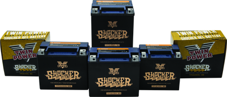 Twin Power YTX-14L Shocker Gel Battery Replaces H-D 65958-04 220 CCA TwinPower Batteries  AXOPROS