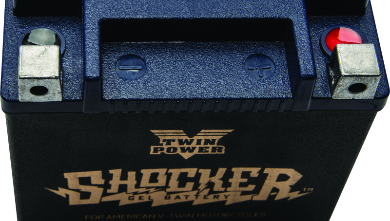 Twin Power YTX-14L Shocker Gel Battery Replaces H-D 65958-04 220 CCA TwinPower Batteries  AXOPROS