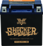 Twin Power YTX-14L Shocker Gel Battery Replaces H-D 65958-04 220 CCA TwinPower Batteries  AXOPROS