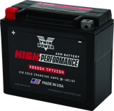 Twin Power YTX-20H High Performance Battery Replaces H-D 65991-82B Made in USA 310 CCA TwinPower Batteries  AXOPROS