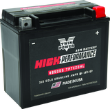 Twin Power YTX-20HL High Performance Battery Replaces H-D 65989-97A Made in USA 310 CCA TwinPower Batteries  AXOPROS