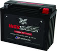 Twin Power YTX-24HL High Performance Battery Replaces H-D 66010-82A Made in USA 350 CCA TwinPower Batteries  AXOPROS