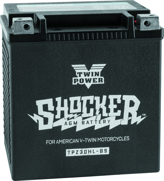 Twin Power YTX-30L Shocker Battery Replaces H-D 66010-97A 430 CCA TwinPower Batteries  AXOPROS