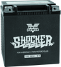 Twin Power YTX-30L Shocker Battery Replaces H-D 66010-97A 430 CCA TwinPower Batteries  AXOPROS