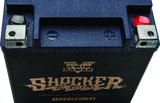 Twin Power YTX-32HL Shocker Gel Battery Replaces H-D 66010-97A 445CCA TwinPower Batteries  AXOPROS