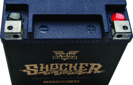 Twin Power YTX-32HL Shocker Gel Battery Replaces H-D 66010-97A 445CCA TwinPower Batteries  AXOPROS