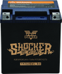 Twin Power YTX-32HL Shocker Gel Battery Replaces H-D 66010-97A 445CCA TwinPower Batteries  AXOPROS