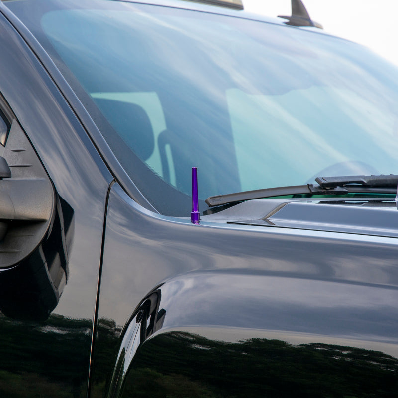 Wehrli 07.5-19 Chevrolet 6.6L Duramax Billet TIG Torch Stubby Antenna - Gloss Black Wehrli Antennas  AXOPROS