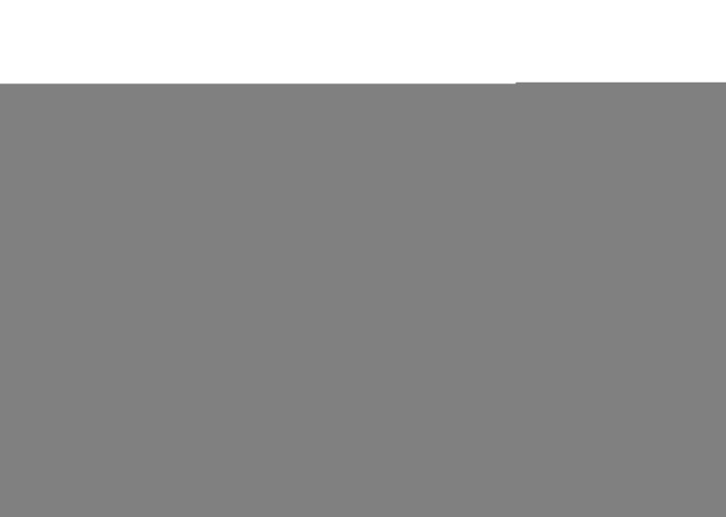 Whiteline Plus 3/08+ Dodge Challenger / 11/05+ Charger Steering Rack & Pinion Mount Whiteline Bushing Kits  AXOPROS