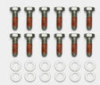 Wilwood Bolt Kit - 5/16-18 x 1.00 LG - 12 pk Wilwood Brake Hardware  AXOPROS