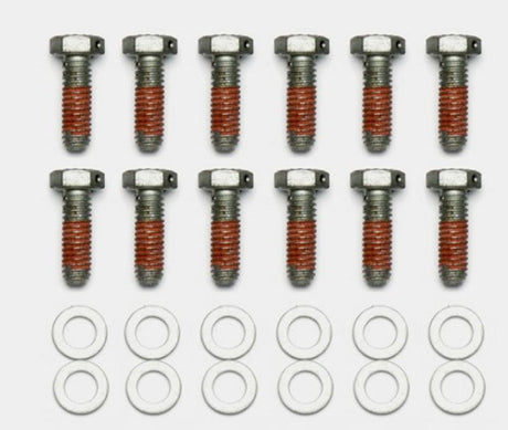 Wilwood Bolt Kit - 5/16-18 x 1.00 LG - 12 pk Wilwood Brake Hardware  AXOPROS