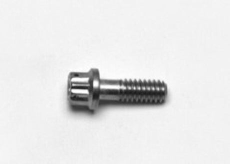 Wilwood Stainless Steel Rotor Bolt - 12pt 1/4-20 X .75 L Wilwood Brake Hardware  AXOPROS