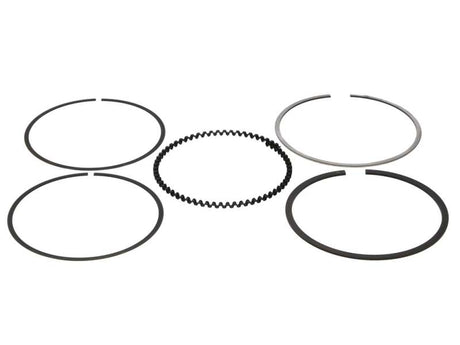 Wiseco 81.50MM RING SET Ring Shelf Stock Wiseco Piston Rings  AXOPROS
