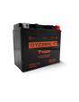 Yuasa GYZ20HLC High Performance Maintenance Free AGM 12-Volt Battery Yuasa Battery Batteries  AXOPROS