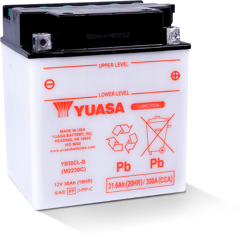 Yuasa YB30CL-B Yumicron CX 12-Volt Battery Yuasa Battery Batteries  AXOPROS