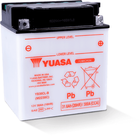 Yuasa YB30CL-B Yumicron CX 12-Volt Battery Yuasa Battery Batteries  AXOPROS