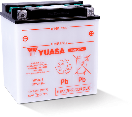 Yuasa YB30L-B Yumicron CX 12-Volt Battery Yuasa Battery Batteries  AXOPROS