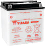 Yuasa YB30L-B Yumicron CX 12-Volt Battery Yuasa Battery Batteries  AXOPROS