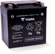 Yuasa YIX30L-BS-PW High Performance Maintenance Free AGM 12-Volt Battery w/Bottle Yuasa Battery Batteries  AXOPROS