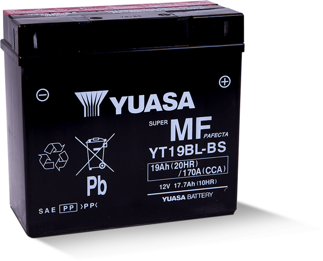 Yuasa YT19BL-BS Maintenance Free AGM 12-Volt Battery w/Bottle Yuasa Battery Batteries  AXOPROS