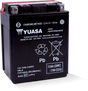Yuasa YTX14AHL-BS High Performance AGM 12-Volt Battery w/Bottle Yuasa Battery Batteries  AXOPROS