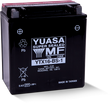 Yuasa YTX16-BS-1 Maintenance Free AGM 12-Volt Battery w/Bottle Yuasa Battery Batteries  AXOPROS