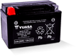 Yuasa YTX9 Maintenance Free AGM 12-Volt Battery Yuasa Battery Batteries  AXOPROS