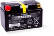 Yuasa YTZ10S Maintenance Free AGM 12-Volt Battery Yuasa Battery Batteries  AXOPROS